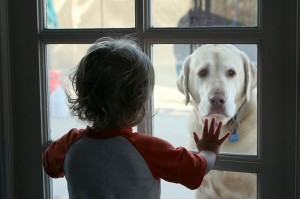 a boy and his dog